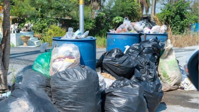 Rubbish Removal