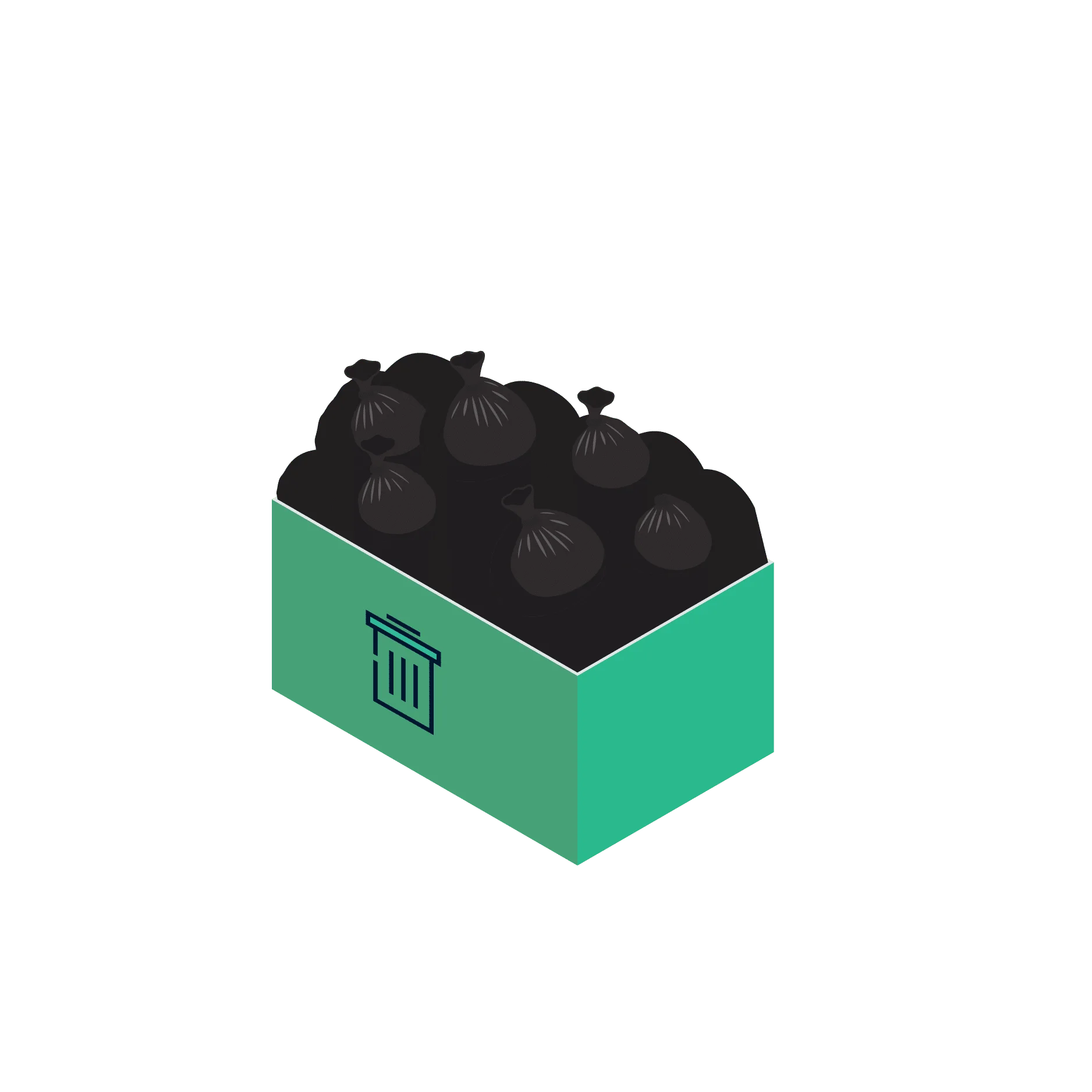 Small Skip Bag Delivery Only